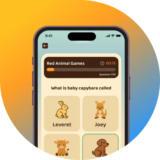 Learn with Fun Lessons