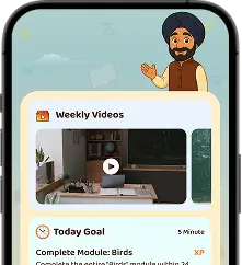 Weekly Videos App Interface